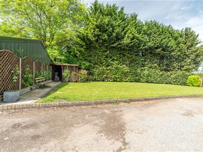 Picture 20